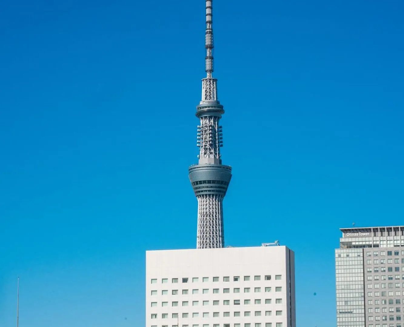 Regno Comfort Asakusa Ⅳ Tokio